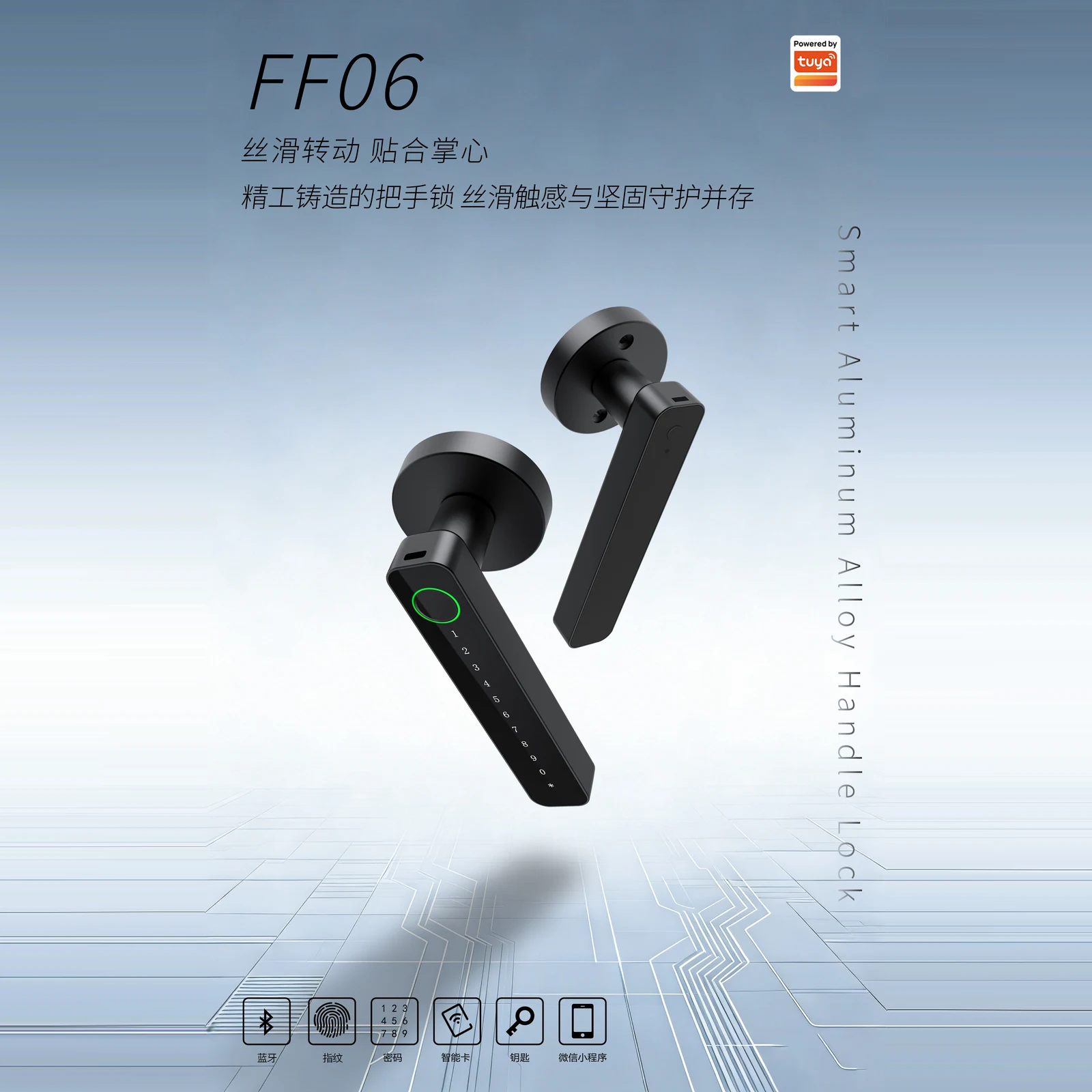 FF06 涂鸦版执手式智能锁（Tuya） 5